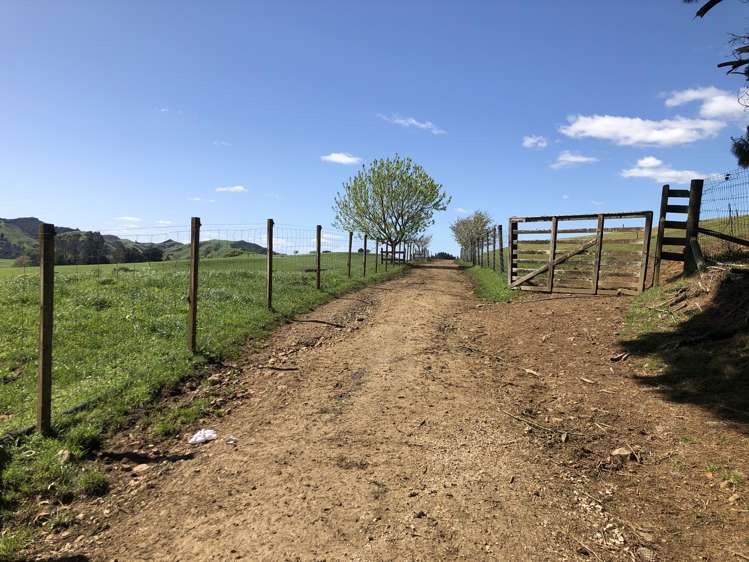 1026 Limeworks Loop Road Karamu_35