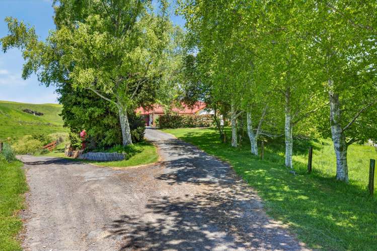 1637A State Highway 30 Horohoro_20