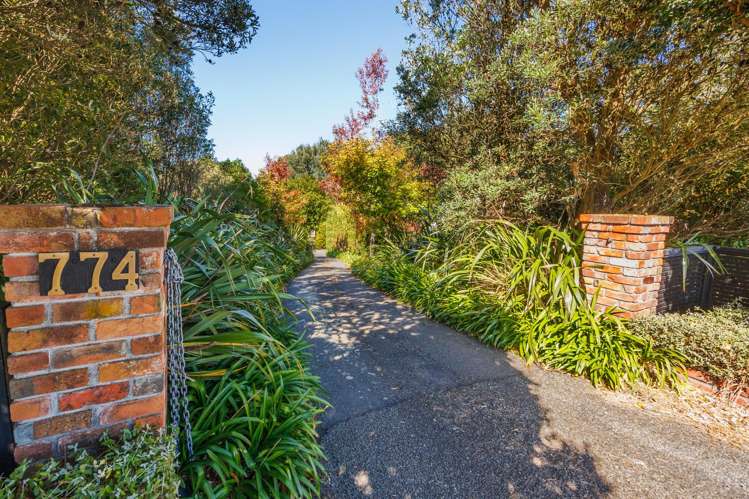 774 Taonui Road Colyton_28