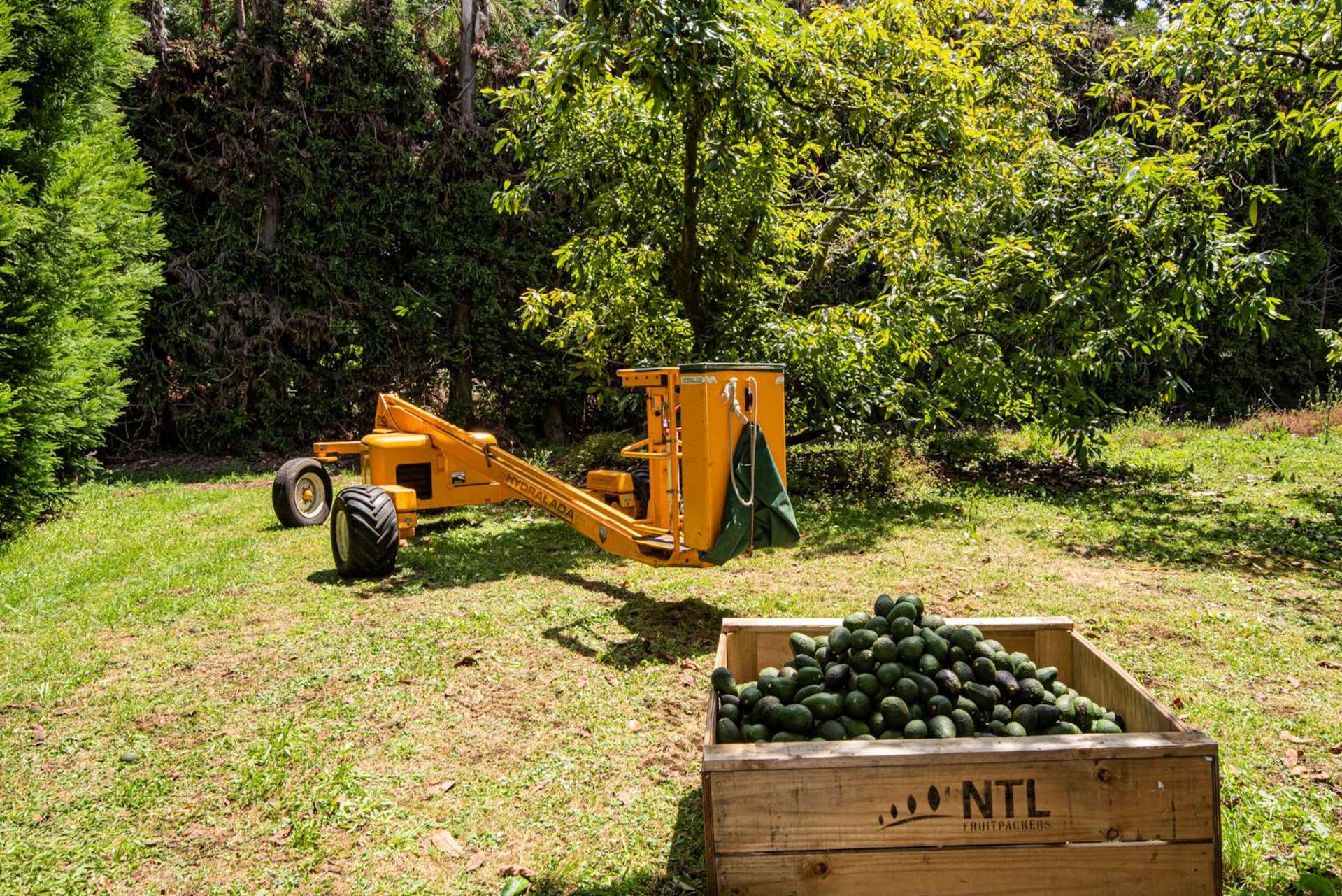 1700 State Highway 14 Maungatapere_0