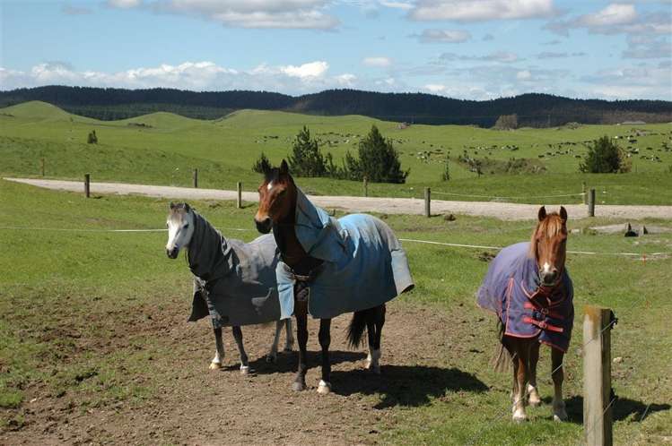 1308 Mossop Road Kinleith_23