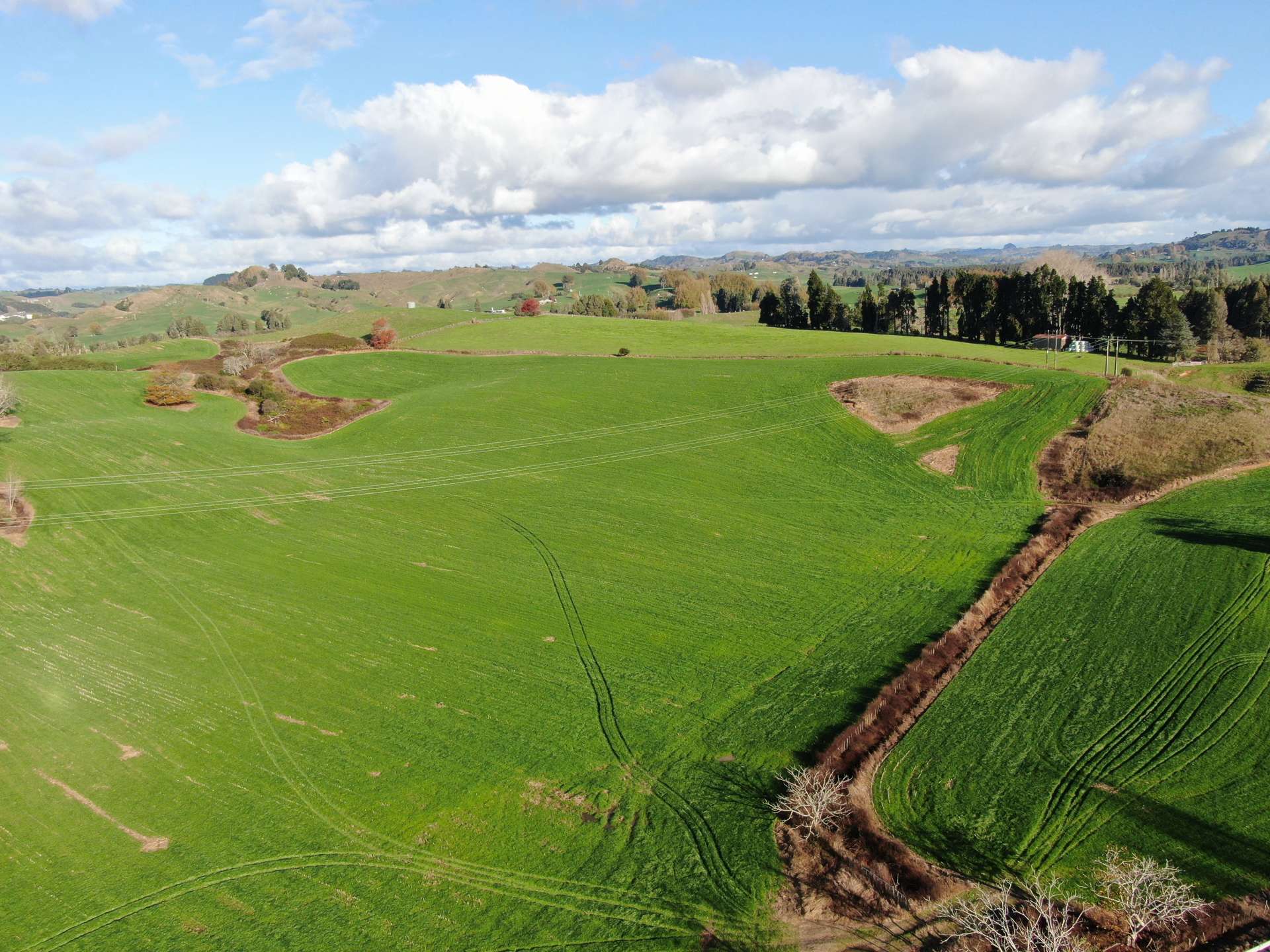 Waitomo Caves Road Waitomo_0