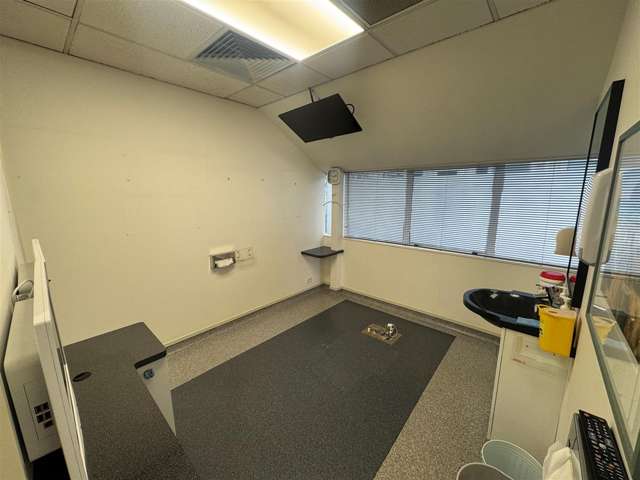 3 Ely Avenue Remuera_3