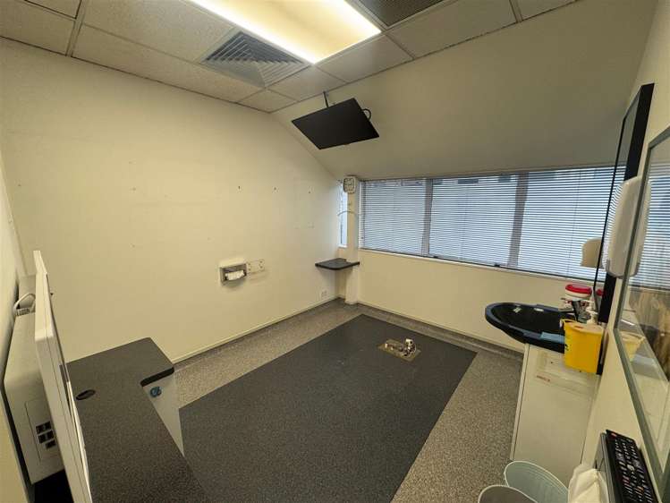 3 Ely Avenue Remuera_3