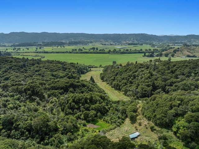 Escape to tranquility: unique bush block for sale