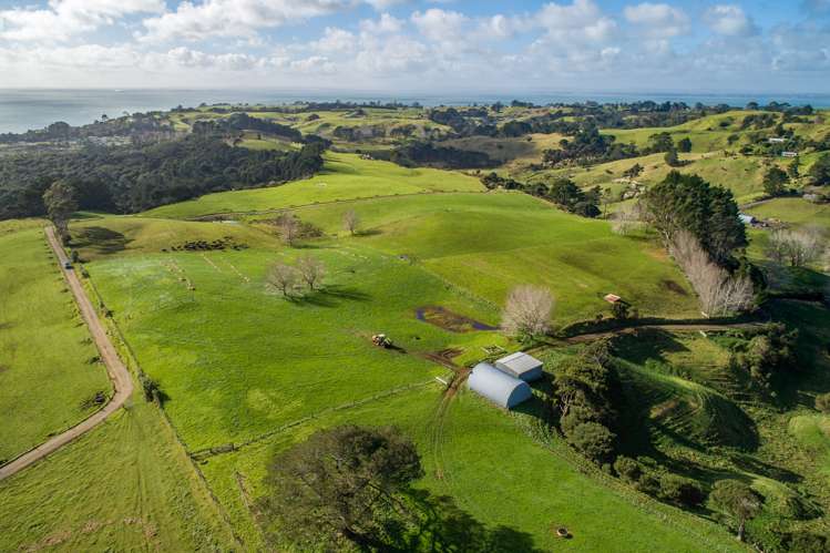 41 Marshall Road Manukau Heads_6