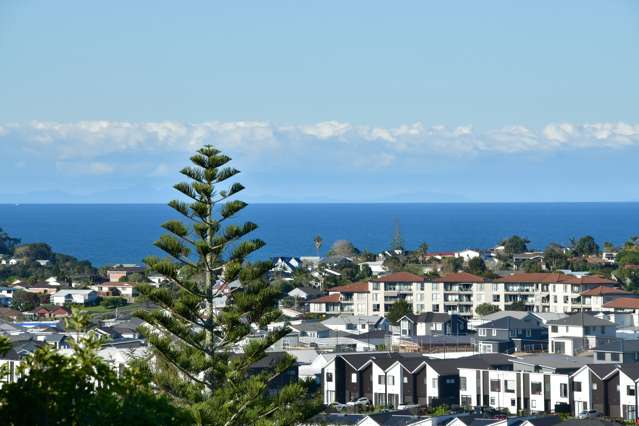 24 Whangaparaoa Road Red Beach_4