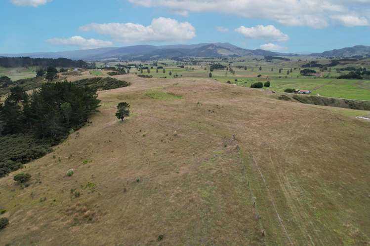 State Highway 12 Dargaville_1