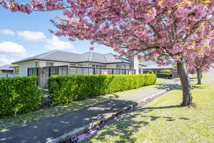 2 Wolsley Street Gore_18