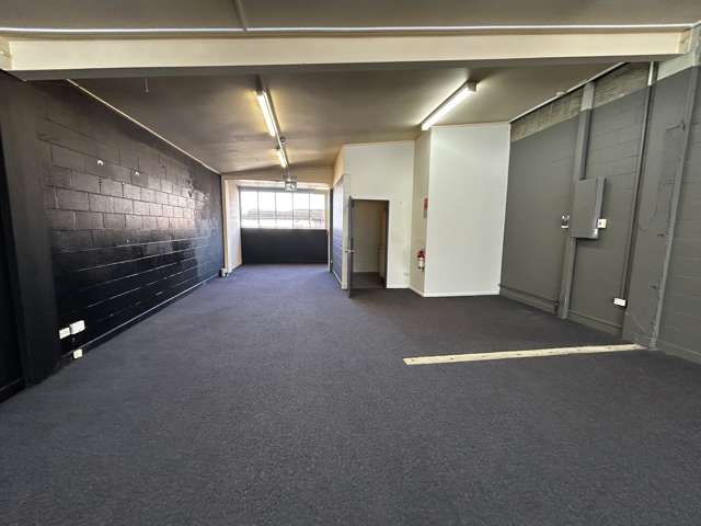 195 Hanover Street Dunedin Central_2
