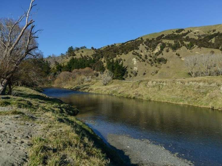 64 Waipunga Road Eskdale_15