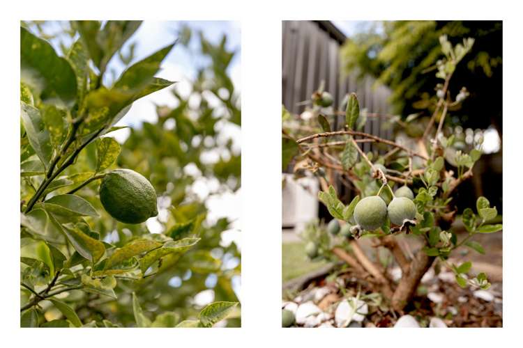 248 Range Road Papamoa_16