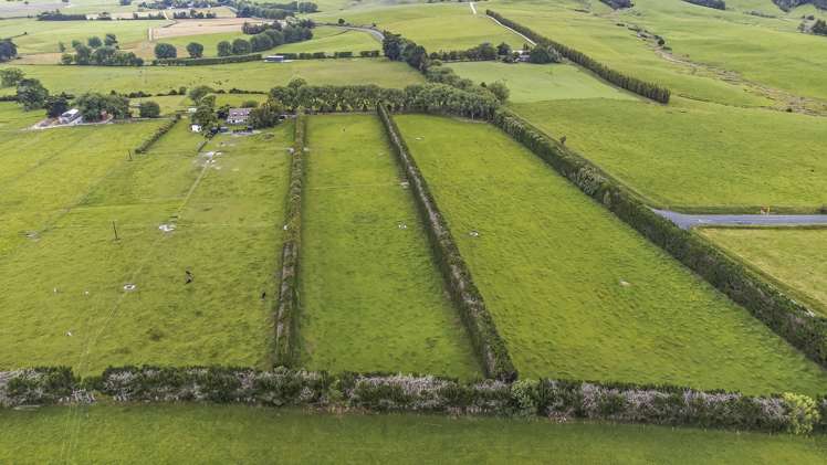 449 School Road Tomarata_34