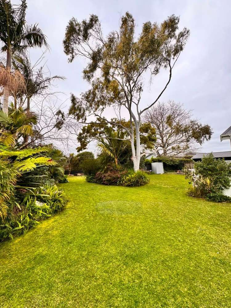  23 Pasadena Avenue Point Chevalier_20