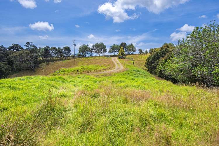 726d Ngunguru Ford Road Kiripaka_11