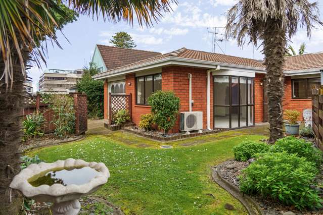 4 Williams Street Tauranga Cbd_4