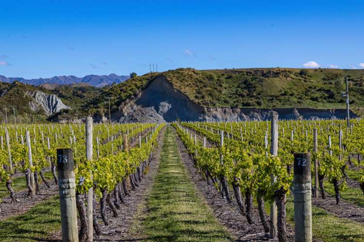 1829 Awatere Valley Road Awatere Valley_12