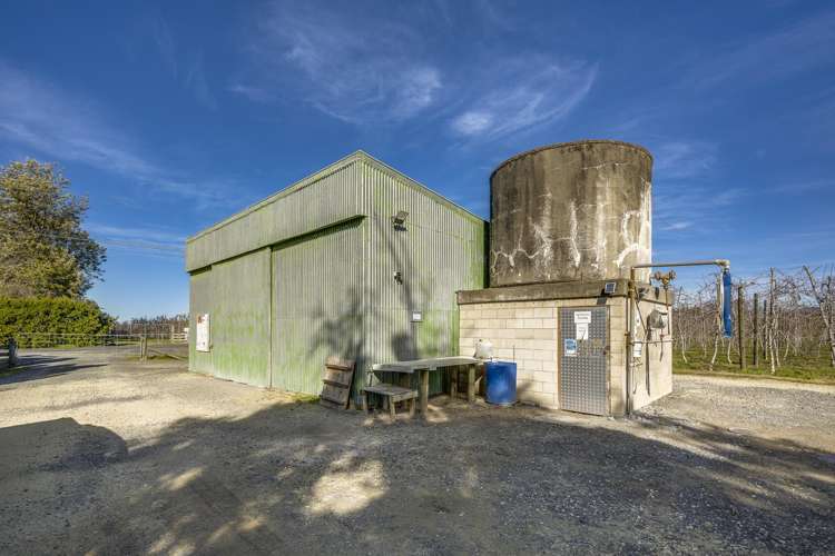 Kiwi Crunch Orchard Portfolio Twyford_14