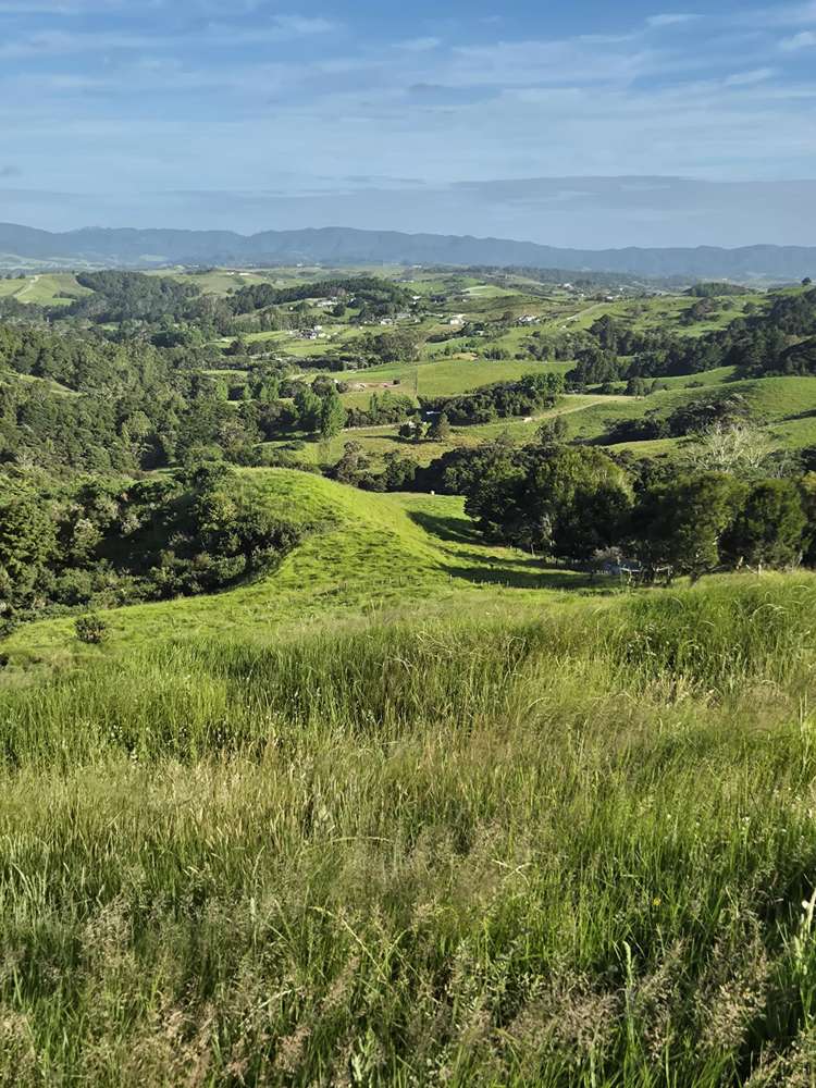 158 Kereru Lane Kaiwaka_30