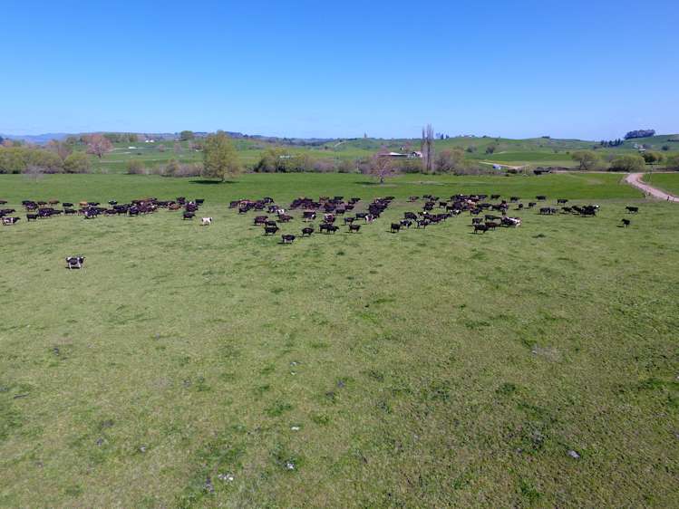 260 Maihiihi Road Maihiihi_9