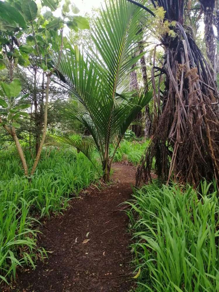 259 Surrey Hill Road Oakura_14