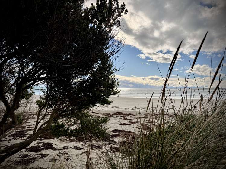 5 Tamatea Street Pahia_6