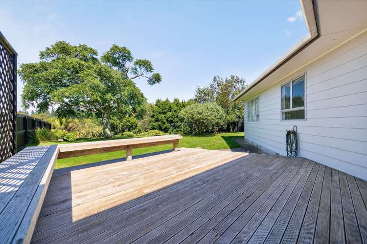 33 Leicester Street Terrace End_13