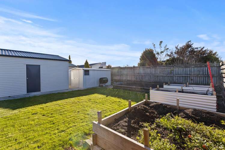 41a Howick Road Redwoodtown_21
