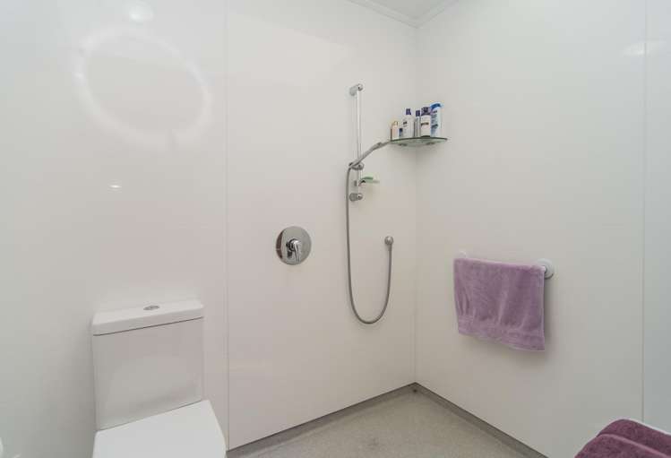 246 Middleswamp Road Temuka_8