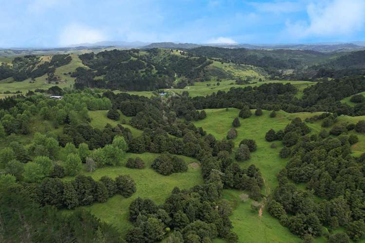 Lot 2/347 Porter Road Paparoa_4