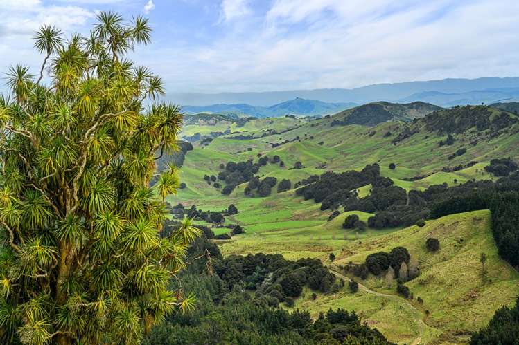 1550 Glenora Road Akitio_23