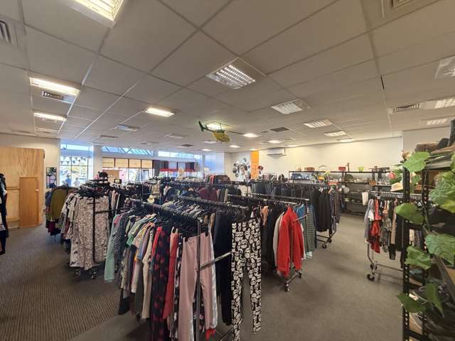 205 Jackson Street Petone_2