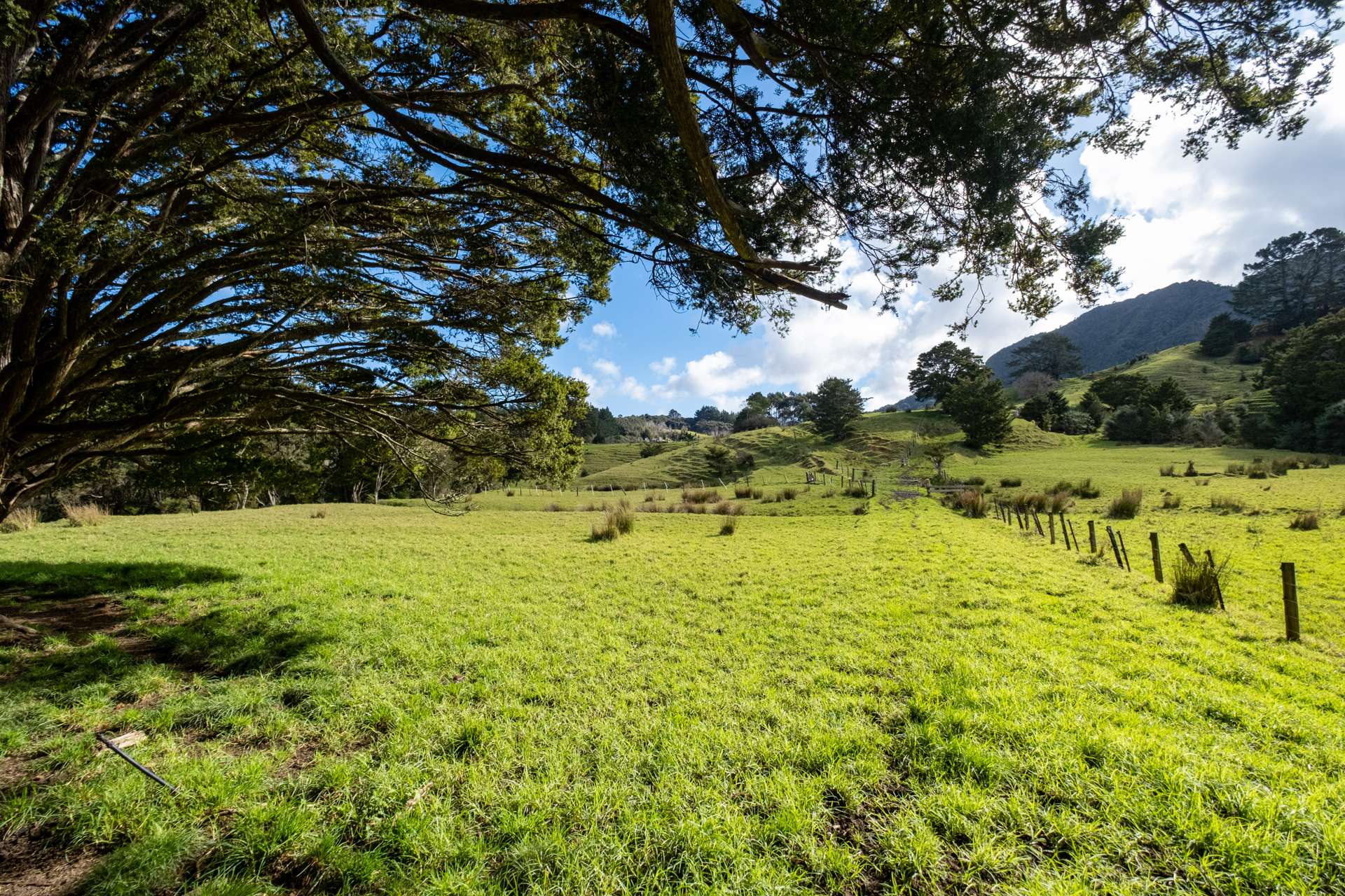 307 Diggers Valley Road Herekino_0