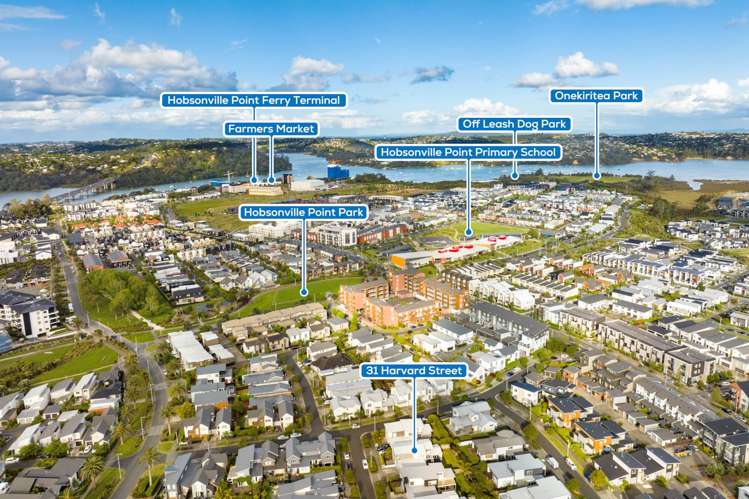 31 Harvard Street Hobsonville_22