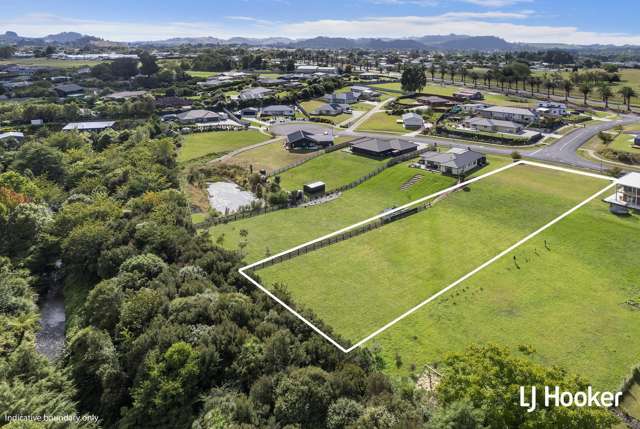 8 Blueberry Lane Waihi_2