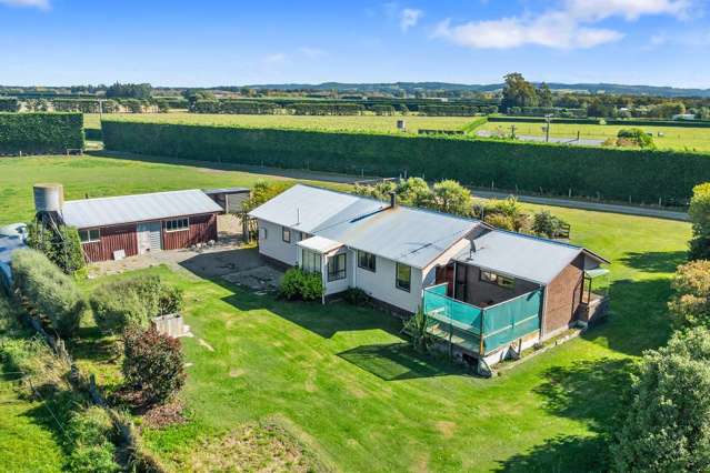 221 Smiths Road Leithfield_4