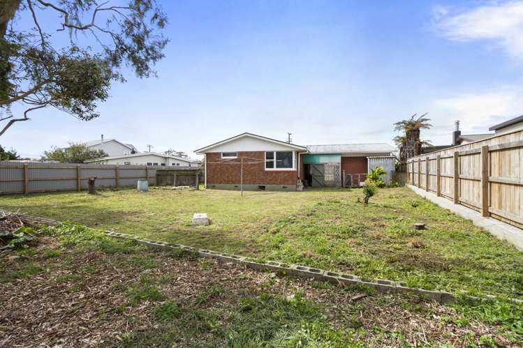 31 Hammond Street Bulls_18