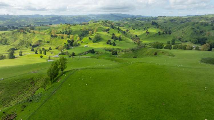 1163 Mangamako Road Ohingaiti_33