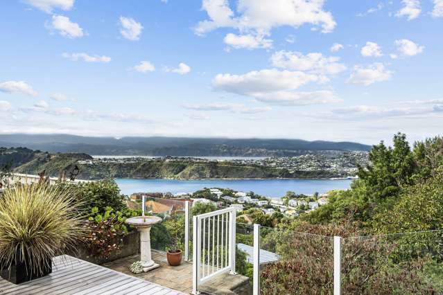 33 Alexandra Road Hataitai_4