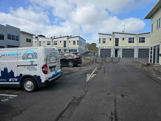 Ground Floor/241R Rosedale Road Albany_2