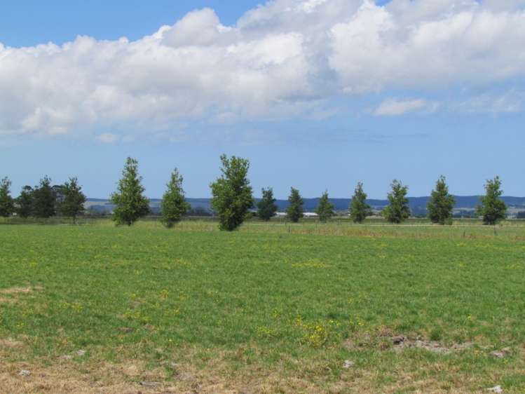 354 Access Road Ruawai_16