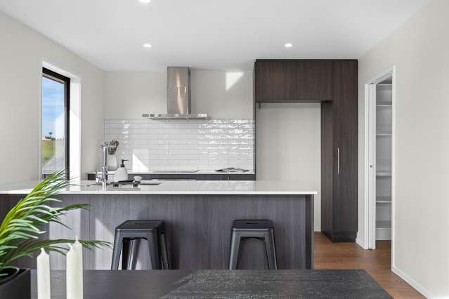 11 Lumino Terrace Peacocke_1