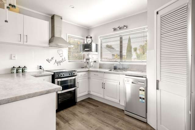 197 Grandview Road Nawton_1