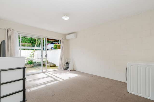 8/289 Ulster Street Whitiora_2