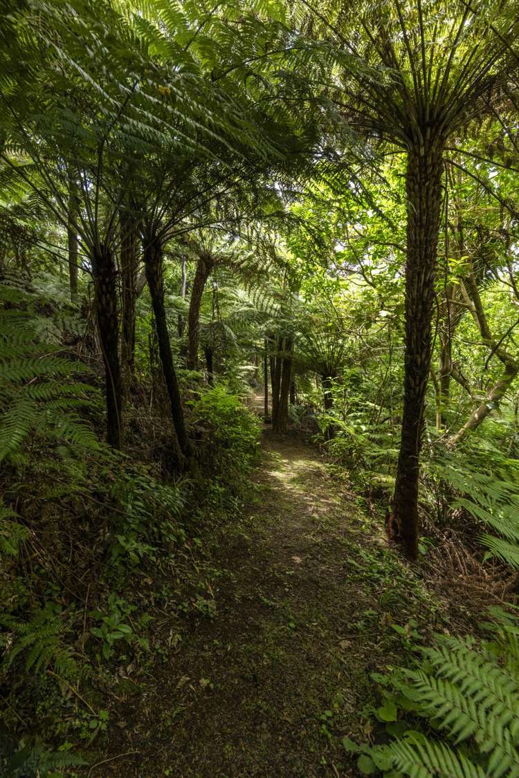 126 Waihirere Drive, Tuateawa Tuateawa_15