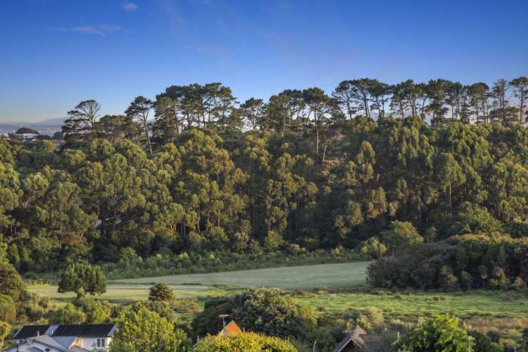 2/733 Remuera Road Remuera_14