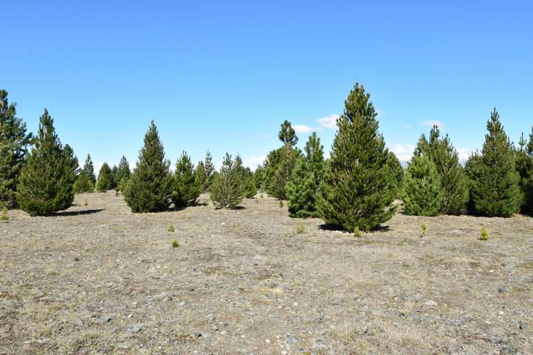 76 Flanagan Lane Twizel_9