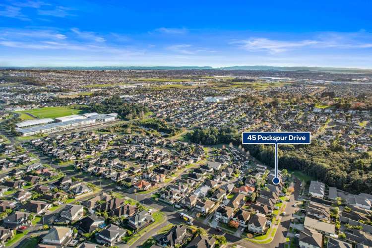 45 Packspur Drive Flat Bush_5