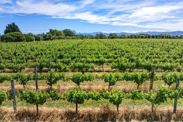 686 Dillons Point Road Blenheim_20