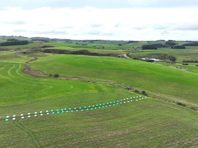 289 Woodslea Downs Road Pine Bush_8